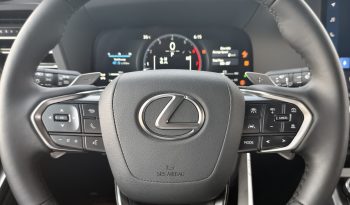 LEXUS GX550 OVERTRAIL – 2024 YM full